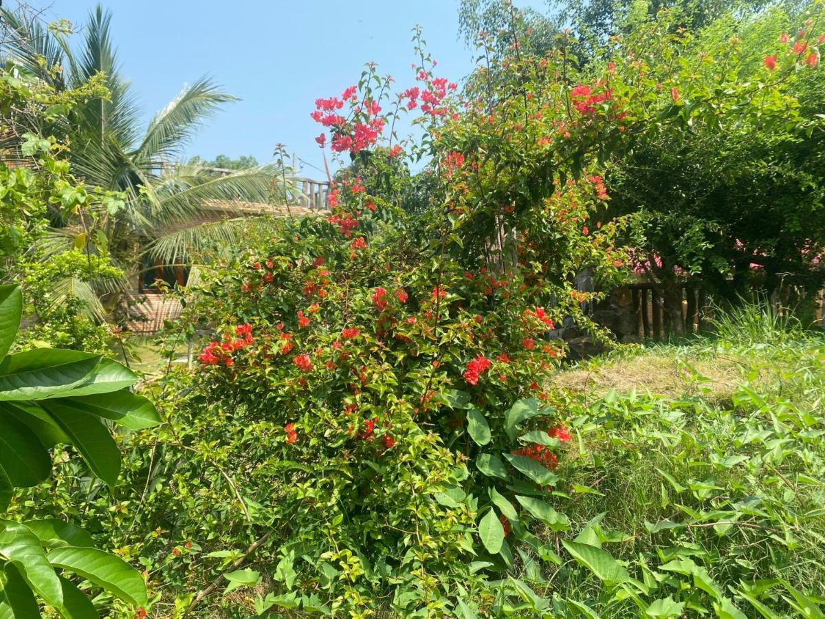 Ngoc Tien Farmer Eco Lodge كات تيان المظهر الخارجي الصورة